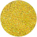 Sequins Hologram 80mm No Hole Round - Cosplay Supplies Inc