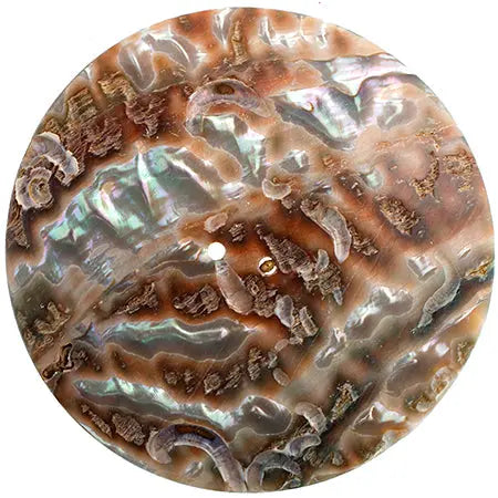 Button Shell 76mm Round Flat Abalone - Cosplay Supplies Inc