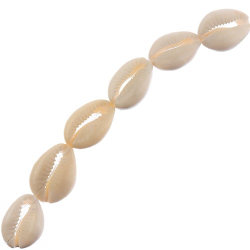 Natural Cowrie Bead 20x25mm 8in Strand 8pcs Natural