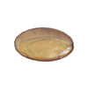 Shell Oval 15x25mm 8in Strand (8pcs) Gold