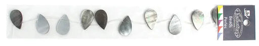 Shell Drop Shape 12x20mm 8in Strand (Approx.10pcs) Abalone