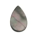 Shell Drop Shape 12x20mm 8in Strand (Approx.10pcs) Abalone - Cosplay Supplies Inc