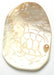 River Shell With Carving 