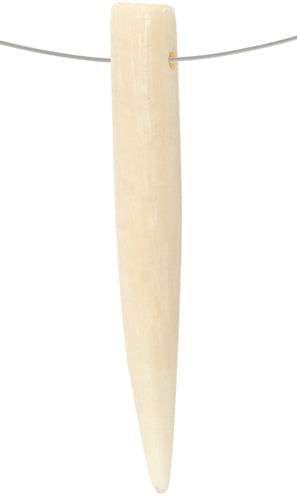 Bone Tusks Ivory Worked On Bone