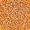 Czech Seed Beads 10/0 Silver Lined - Yellow/Brown Shades
