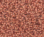 Czech Seed Beads 10/0 Color Lined Brown Shades