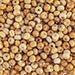 Czech Seed Beads 2/0 Opaque Brown Shades