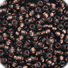 Czech Seed Beads 11/0 Transparent Grey Copperlined