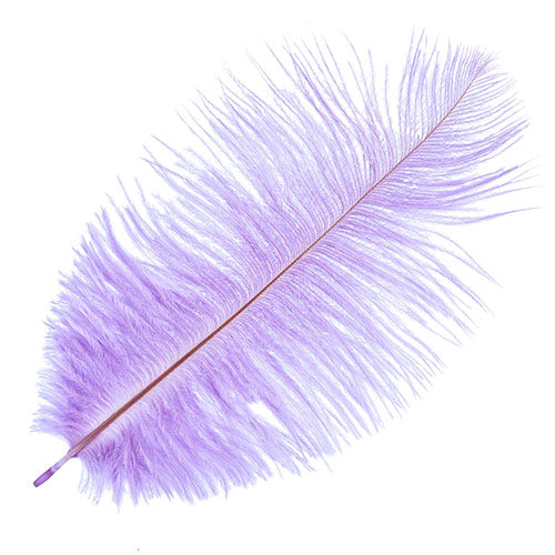 Ostrich Drab Feathers 6-8in Premium Quality
