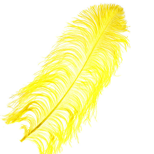 Ostrich Wing Feather 18-24in (1pc)