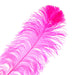 Ostrich Wing Feather 18-24in (1pc) 