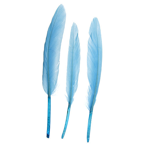 Duck Wing Quill 3-4in  (3 x 24pcs)