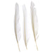 Duck Quill 7in  (3 x 12pcs)