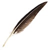 Goose Feather 7in Natural Bulk