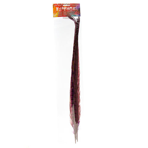Ringneck Pheasant Tail 18-20in (3pcs) Dyed 