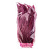 Coque Feathers Value 10-12in 1yd 