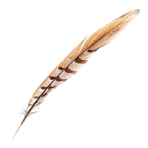 Reeves Pheasant Tail Natural