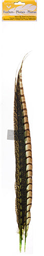 Lady Amherst Pheasant Feather Side (1pc) 