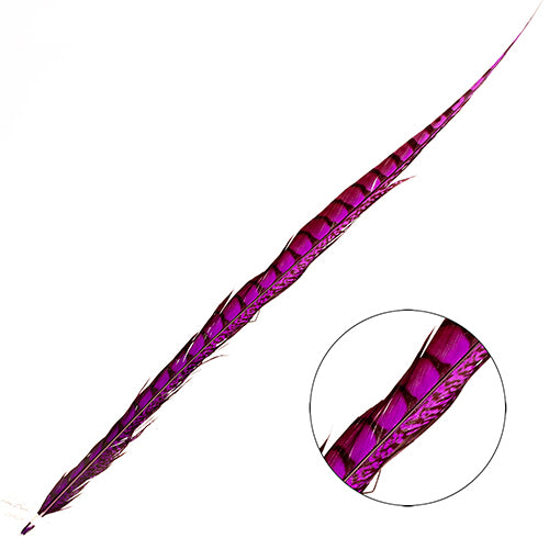 Lady Amherst Pheasant Feather Side (1pc)