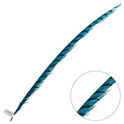Lady Amherst Pheasant Feather Center (1pc)
