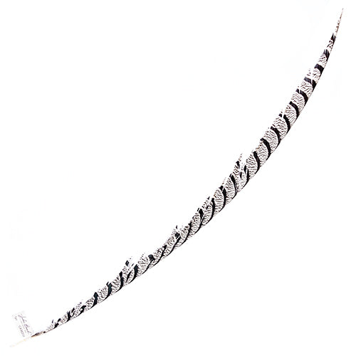 Lady Amherst Pheasant Feather Center (1pc) 