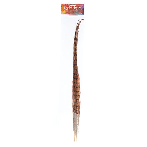 Ringneck Pheasant Tail 20-22in (3pcs) 
