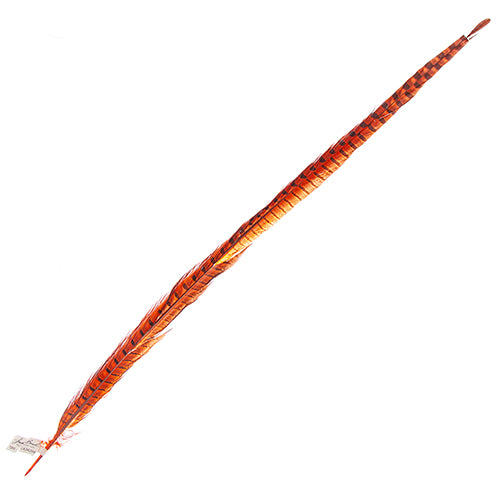 Ringneck Pheasant Tail 28-30in (1pc) 