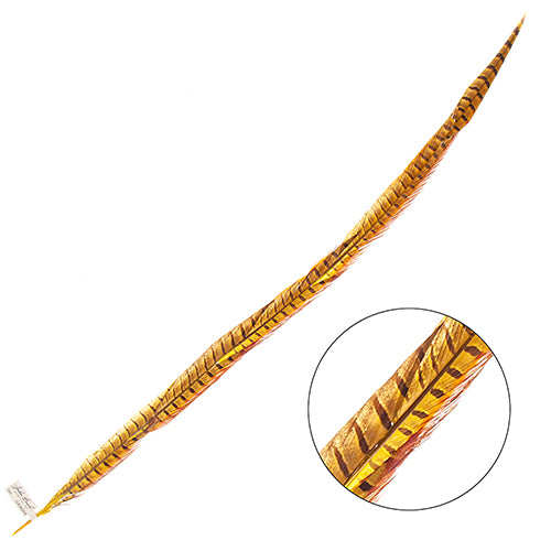Ringneck Pheasant Tail 30-35in (1pc)