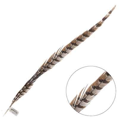 Reeves Pheasant Tail 1pc Natural