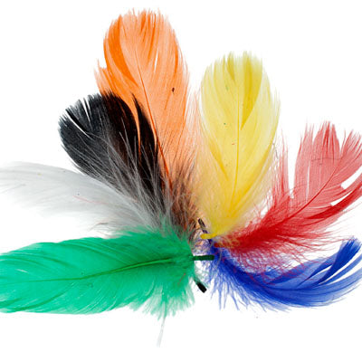 Marabou Feathers Approx. 4-6in Multi ( Approx 100g)