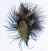 Hat Trims Feathers 10cm Black/Brown/Natural