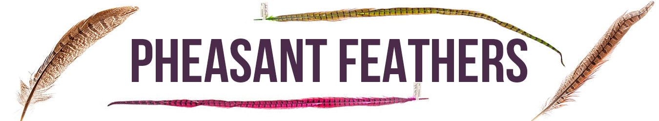 Pheasant Feathers