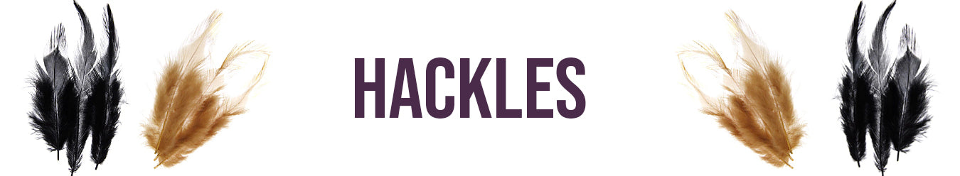 Hackles Feathers