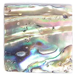 Shell Pendant With Corner Hole 25x25mm Square Abalone - Cosplay Supplies Inc