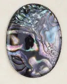 Flat Back Shell 30/40mm Oval Abalone