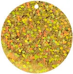 Sequins Hologram 30mm with 1mm Hole Round - Cosplay Supplies Inc