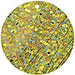 Sequins Hologram 30mm with 1mm Hole Round 