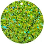 Sequins Hologram 30mm with 1mm Hole Round - Cosplay Supplies Inc
