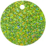 Sequins Hologram 40mm with 4mm Hole Round - Cosplay Supplies Inc