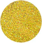 Sequins Hologram 50mm No Hole Round - Cosplay Supplies Inc