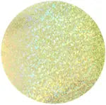 Sequins Hologram 50mm No Hole Round - Cosplay Supplies Inc