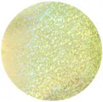 Sequins Hologram 80mm No Hole Round - Cosplay Supplies Inc