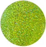 Sequins Hologram 80mm No Hole Round - Cosplay Supplies Inc