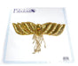 Motif Beaded 26x17cm Wing With Fringe Gold AB