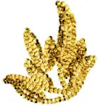Motif Sequin Leaf Gold 9x9cm - Cosplay Supplies Inc