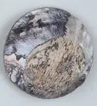 Button Shell 76mm Round Flat Abalone