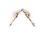 Bead Tip Cap Connector 3.5x1.7mm 2 Ring Brass Base Coated Gold Clamshell - Cosplay Supplies Inc