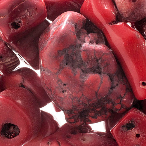 Earth's Jewels Value Pack 100g Red Bamboo Coral Dyed