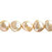 Freshwater Pearl Assorted Size 16in Mixed Color