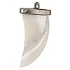 Mother Of Pearl Claw Pendant 15x30mm 